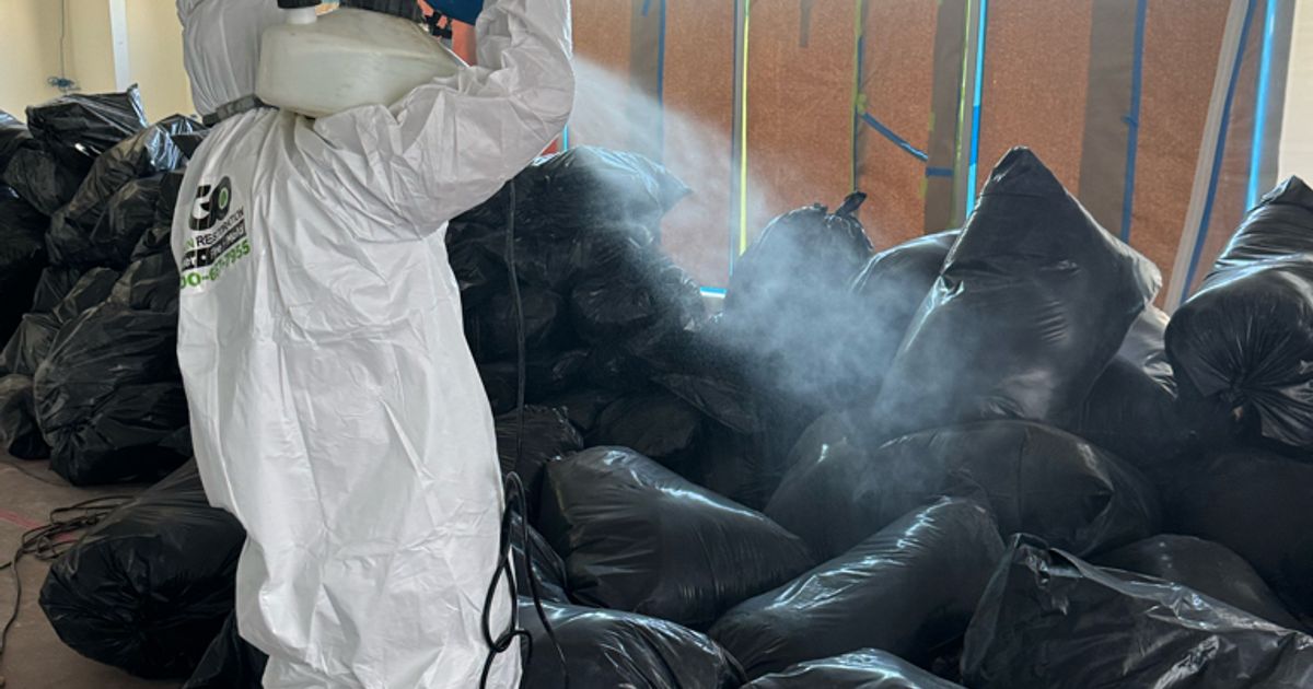 mold restoration work by Go Green Restoration