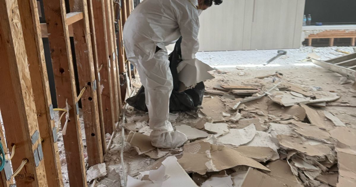 mold restoration work by Go Green Restoration