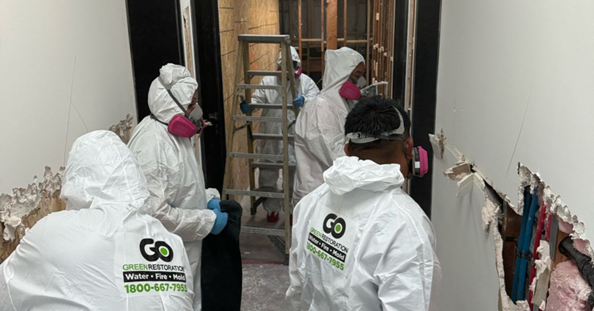 mold restoration work by Go Green Restoration