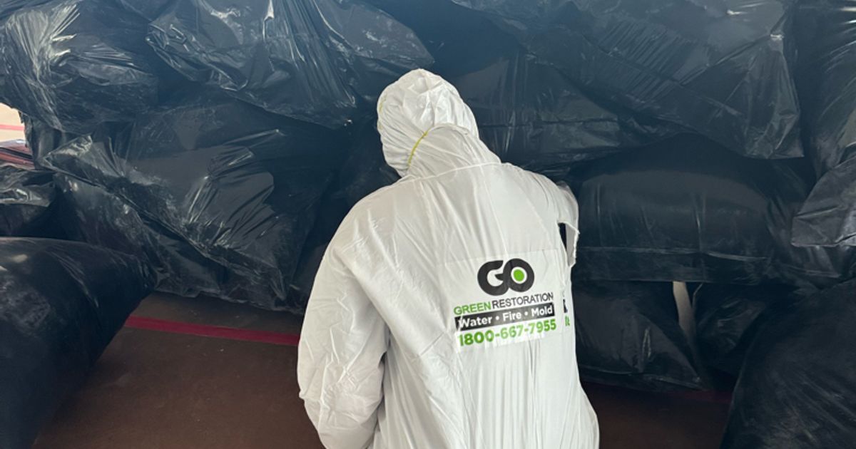 mold restoration work by Go Green Restoration