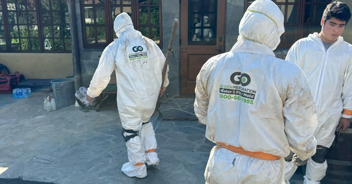 mold restoration work by Go Green Restoration