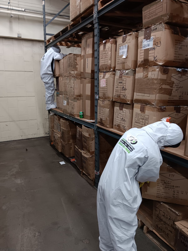 Fire damage restoration - structural repairs after fire