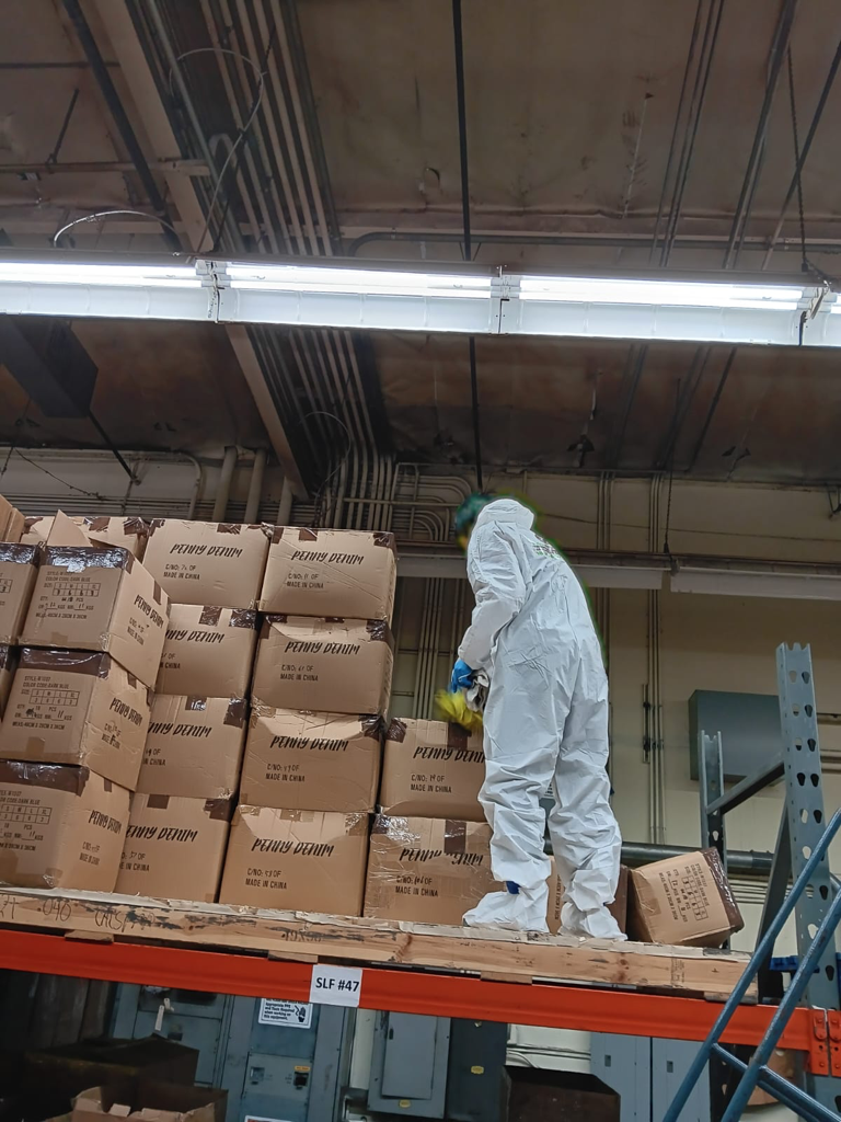 Fire damage restoration - fire-damaged interior