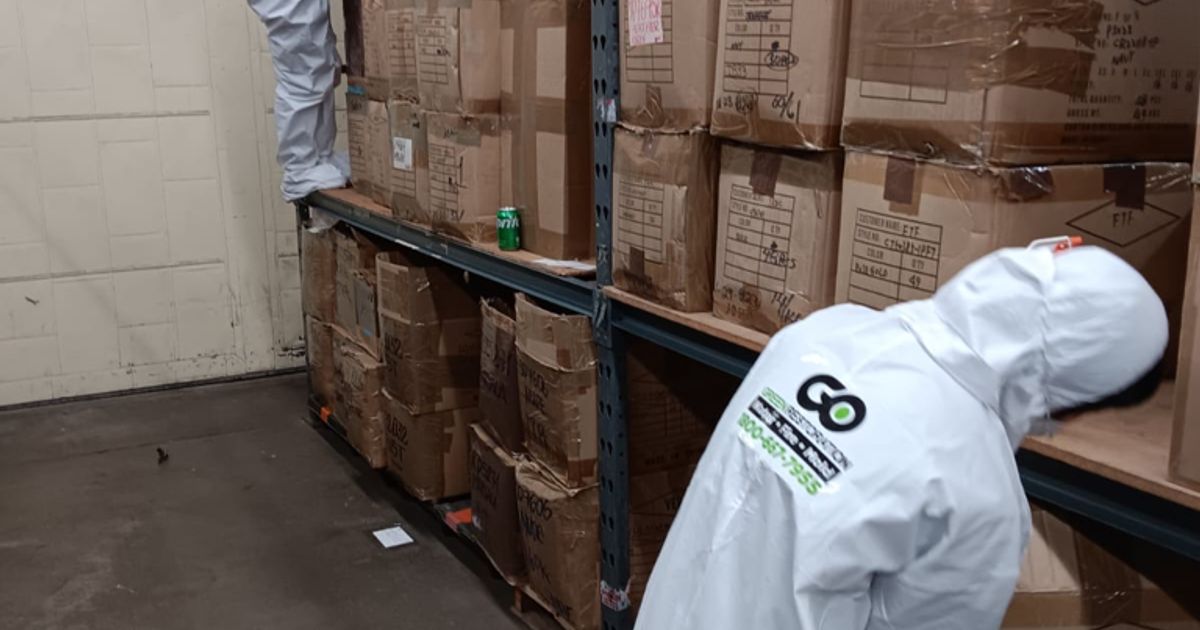 fire damage restoration work by Go Green Restoration