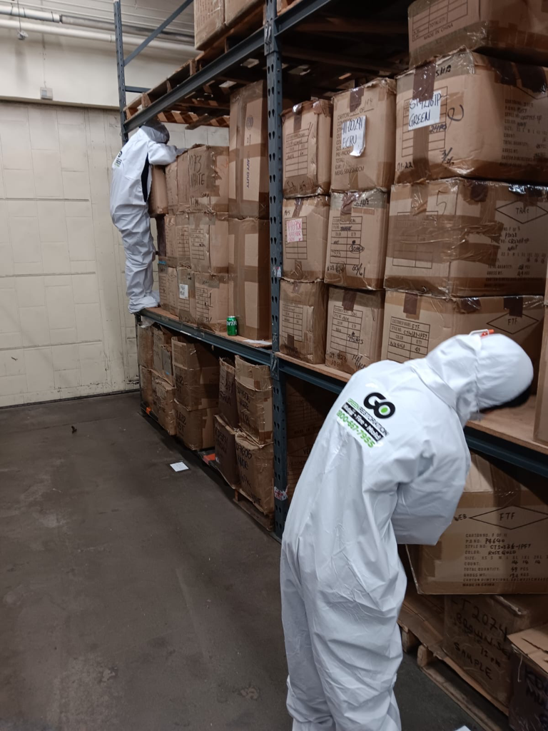 Go Green team handling sewage damage cleanup