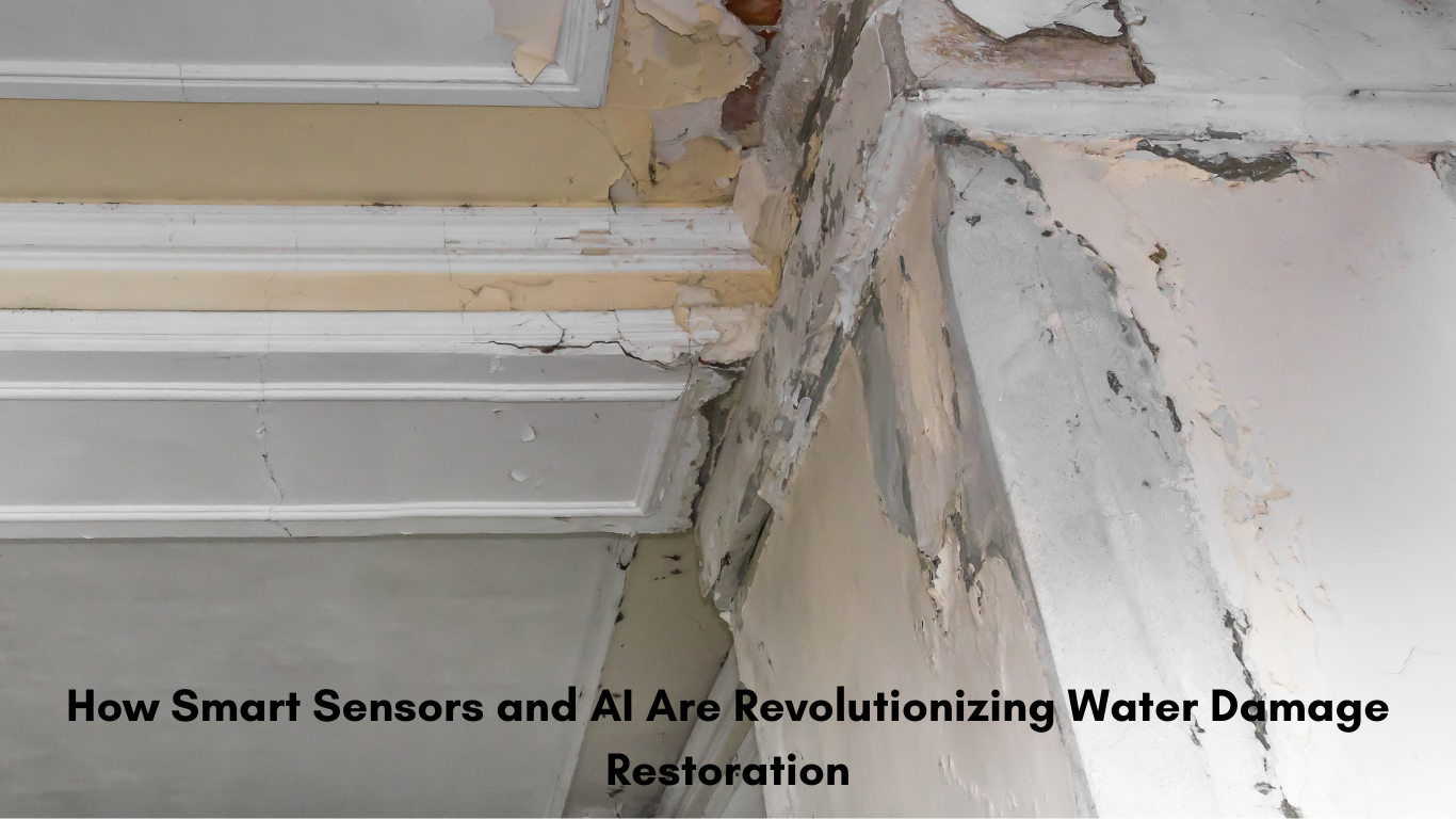 Water Damage Restoration